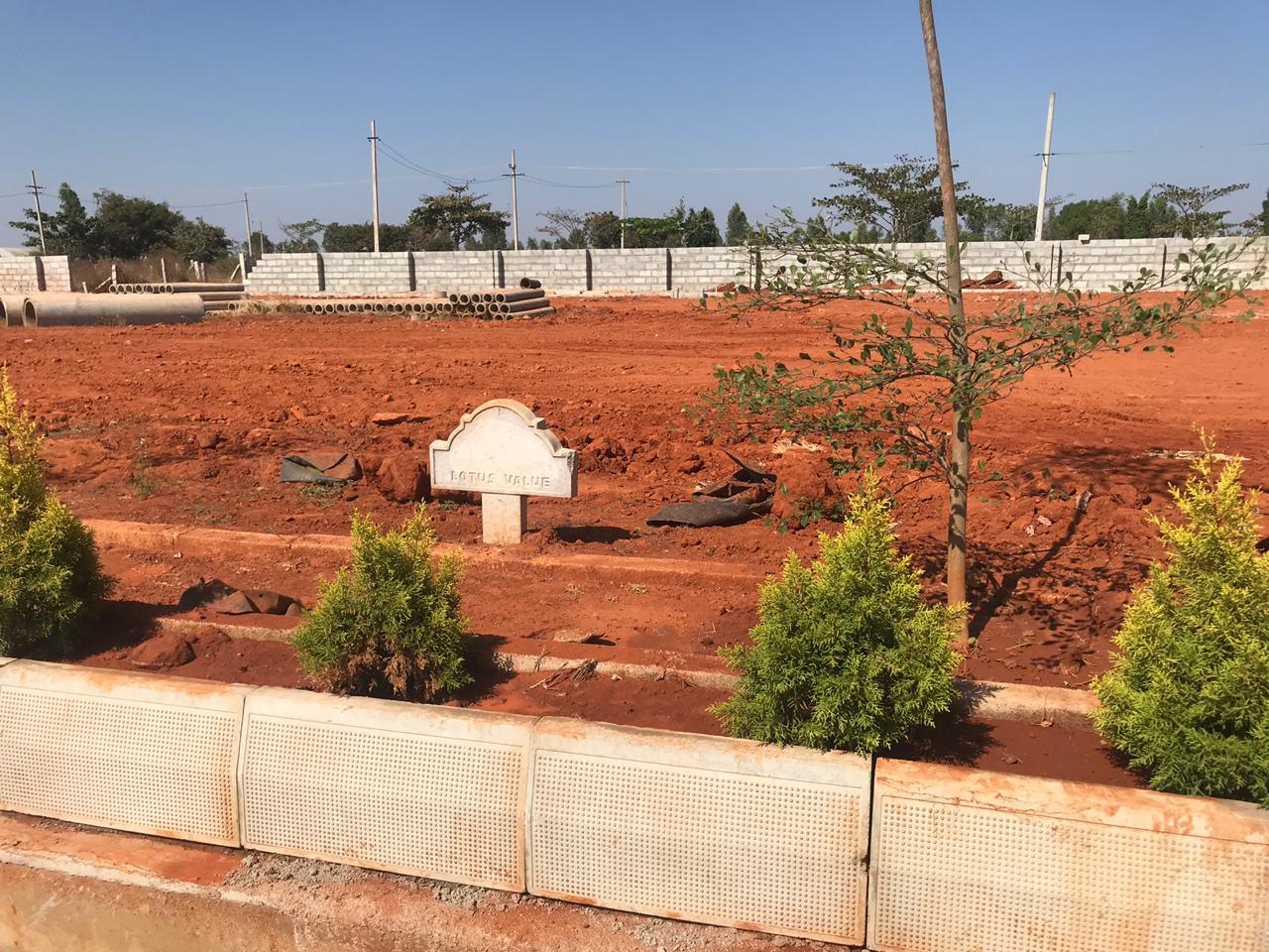 lotus value - nature park,devanahalli