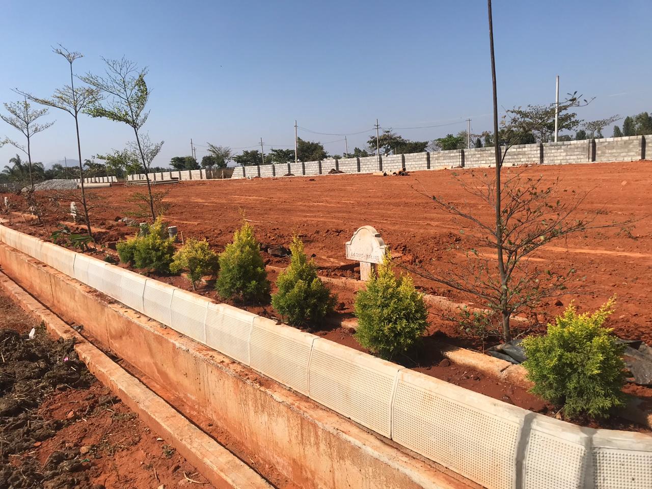 lotus value - nature park,devanahalli