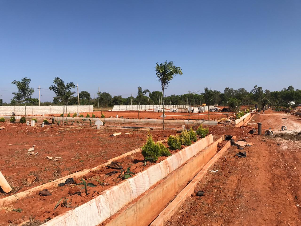 lotus value - nature park,devanahalli